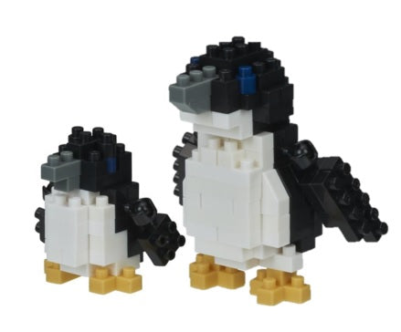 Fairy Penguins